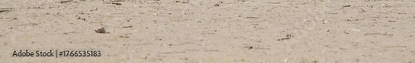 Obraz Sandstreifen Panorama