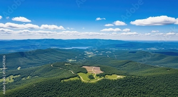 Fototapeta Aerial view of a vast forest landscape with rolling hills and a clear blue sky above