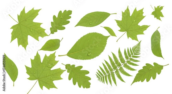 Obraz Realistic Grey Cloud Layer Isolated on Black Background, Weather Element for Compositing