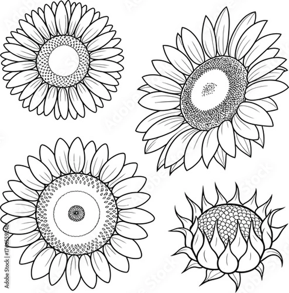 Fototapeta A colorful set of vector flowers and floral elements for seamless summer pattern design and decoration