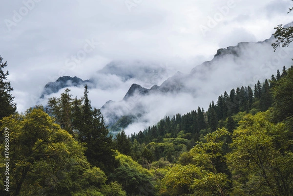 Fototapeta Beautiful view mountain with mist on the sky, snow mountain, peak of mountain and some clouds at Changpinggou Trail, Four Girl Mountain, Sichuan of China. color effect, low key and soft focus.