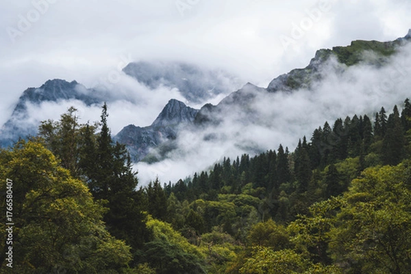 Fototapeta Beautiful view mountain with mist on the sky, snow mountain, peak of mountain and some clouds at Changpinggou Trail, Four Girl Mountain, Sichuan of China. color effect, low key and soft focus.