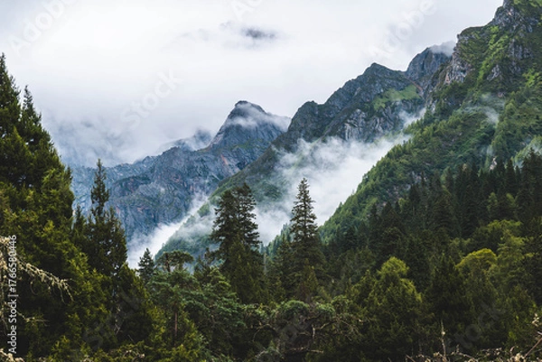 Obraz Beautiful view mountain with mist on the sky, snow mountain, peak of mountain and some clouds at Changpinggou Trail, Four Girl Mountain, Sichuan of China. color effect, low key and soft focus.