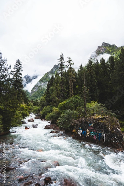 Fototapeta Streams at Changping valley scene of the Siguniang Mountain, (Four Girls Mountain) lies Sichuan of China. (Tibetan language is Om Mani Padme Hum) color effect, low key and soft focus.