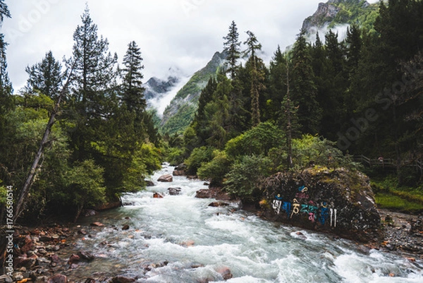 Fototapeta Streams at Changping valley scene of the Siguniang Mountain, (Four Girls Mountain) lies Sichuan of China. (Tibetan language is Om Mani Padme Hum) color effect, low key and soft focus.