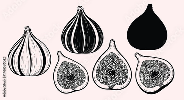 Fototapeta Collection of black and white illustrations of figs, including whole and halved fruits, on a light pink background.