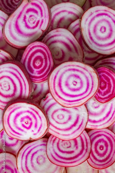 Obraz Chioggia beets
