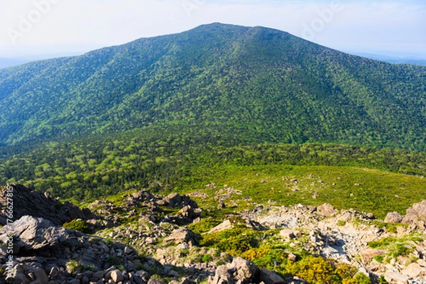 Fototapeta 早池峰山から望む薬師岳