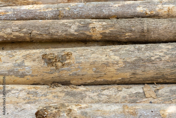 Fototapeta Stacked logs with numbered markings symbolizing the timber industry and deforestation impact. Concept of wood production, sustainable forestry, and environmental conservation awareness