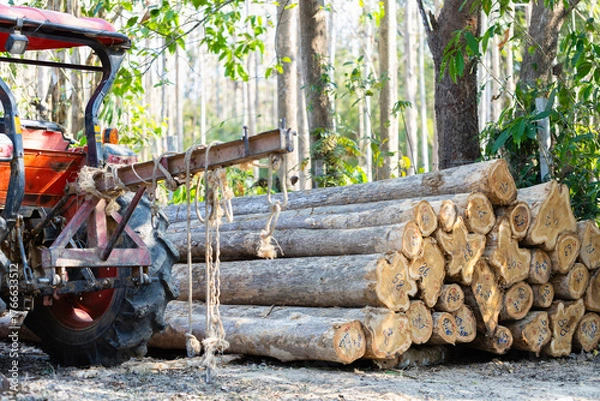 Fototapeta Concept of forestry management, wood production, and sustainability awareness, Red tractor beside stacked numbered logs in a forest, representing logging industry, deforestation, and timber transport