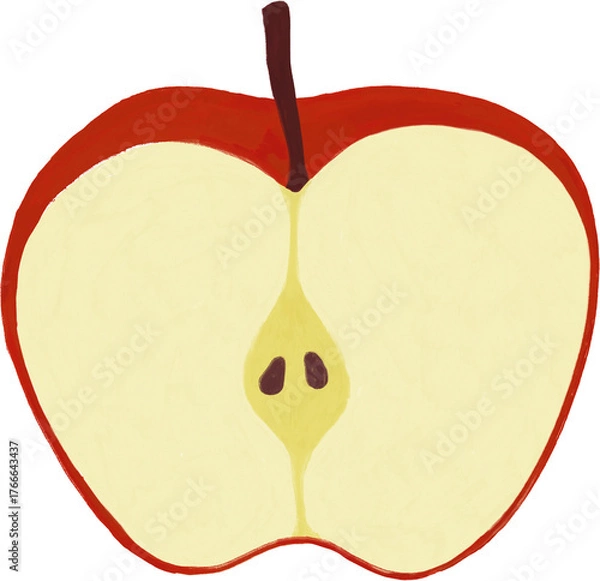 Fototapeta 사과 단면