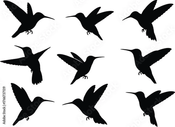 Fototapeta Hummingbird silhouette set, black flying bird vector, hovering poses, wildlife illustration, dynamic wing motion, nature design on white background