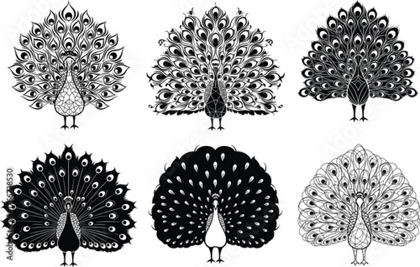 Fototapeta Peacock silhouette set, black and white vector birds, ornate feather design, elegant tail display, artistic wildlife illustration collection