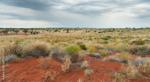 Obraz Środkowej Australii Outback Red Sand Dunes Desert Landscape