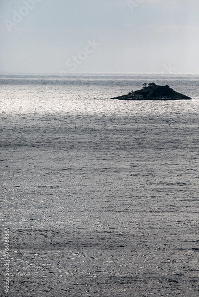 Fototapeta little island in the sea around rovinj in croatia on a moody day with dramatic light