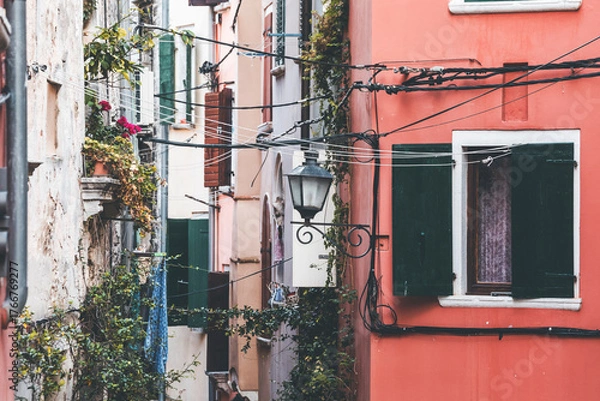Fototapeta colorful windows and walls with lamps and flowers in rovinj