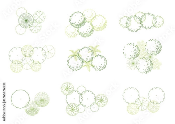 Obraz architecture drawing plant tree top view plan greenery vegetation vector. design nature architectural landscape set element illustration bush garden flora sapling minimal. architect isolated.