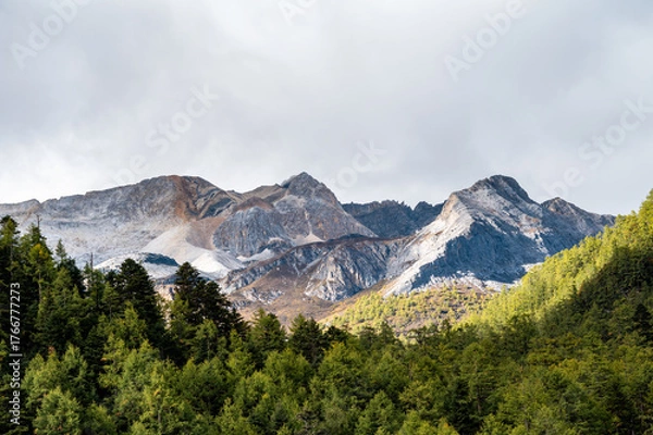 Fototapeta The rocky mountains and forest vegetation scenery of the Qinghai-Tibet Plateau region