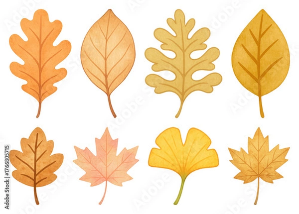 Fototapeta PNG Colorful autumn leaves illustration, element set on transparent background