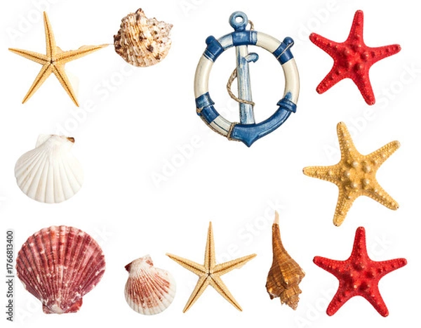 Fototapeta A collection of seashells, starfish and a life preserver/anchor arranged around a dark void, creating a nautical-themed frame