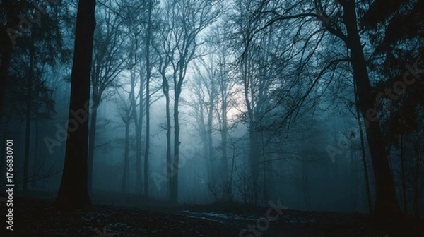 Obraz Mysterious fog envelops a quiet forest at dawn with tall trees silhouetted against a pale light