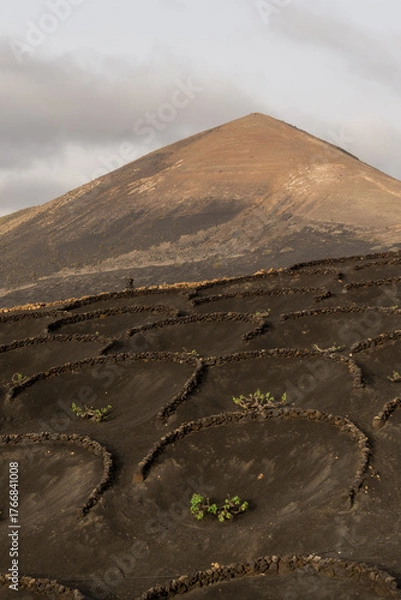 Obraz hiking in the volcano landscape of Timanfaya in Lanzarote