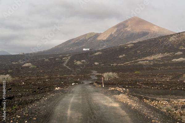 Obraz hiking in the volcano landscape of Timanfaya in Lanzarote