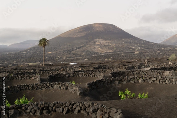 Obraz hiking in the volcano landscape of Timanfaya in Lanzarote