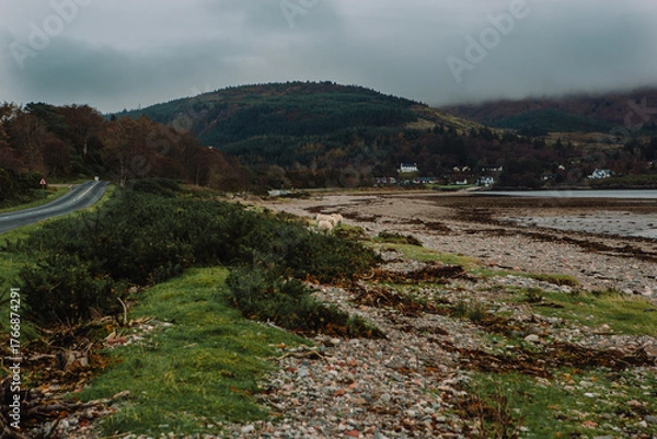 Fototapeta Scottish Highlands featuring a small road running through the mountains and next to a lake on an overcast autumn afternoon