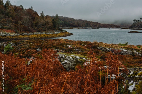 Fototapeta A dramatic and atmospheric photograph of the ruined medieval Castle Tioram (pronounced "Cheerum"), the former stronghold of the Clanranald branch of the MacDonalds - in Loch Moidart
