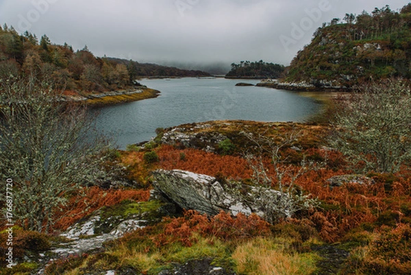 Obraz A dramatic and atmospheric photograph of the ruined medieval Castle Tioram (pronounced "Cheerum"), the former stronghold of the Clanranald branch of the MacDonalds - in Loch Moidart