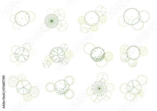 Obraz architecture drawing plant tree top view plan greenery vegetation vector. design nature architectural landscape set element illustration bush garden flora sapling minimal. architect isolated.
