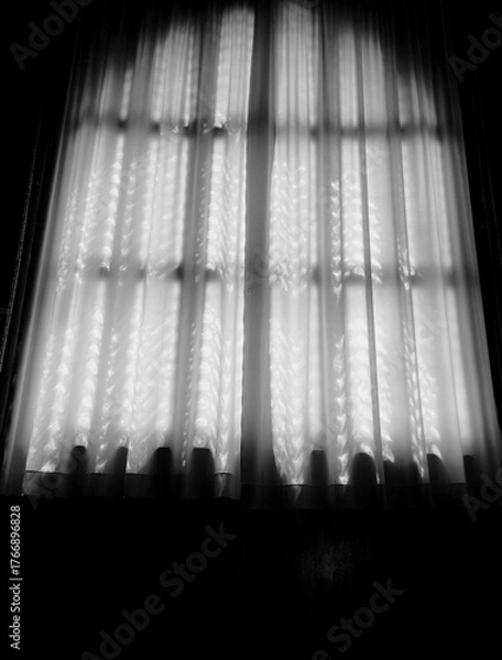 Obraz Background Image