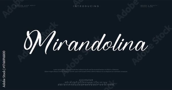 Fototapeta Stylish serif font with flowing ligatures, perfect for branding, fashion, and editorial designs