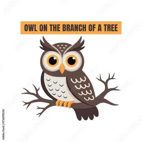Obraz owl on a branch