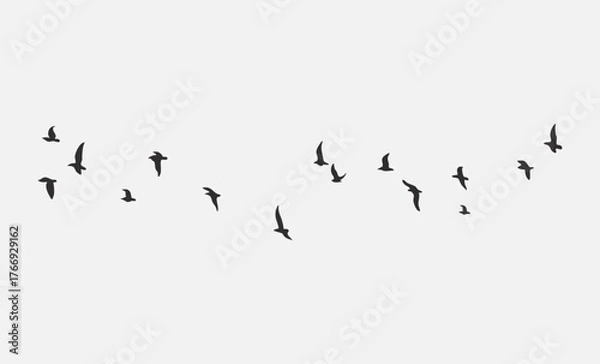 Obraz birds in flight	