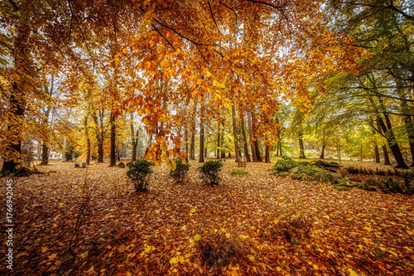 Obraz Jesień w parku