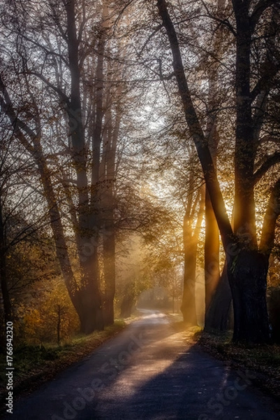 Obraz Wschód słońca na drodze