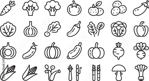 Fototapeta Collection of vegetable outline icons including carrot broccoli tomato potato eggplant lettuce onion salad pepper corn asparagus mushroom food vector