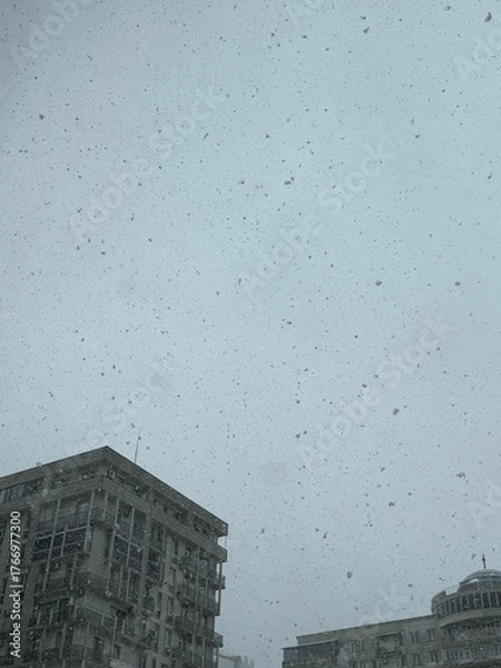Fototapeta Snowfall over city buildings under a gray sky. Used in climate, architecture, environment, and urban photography materials.