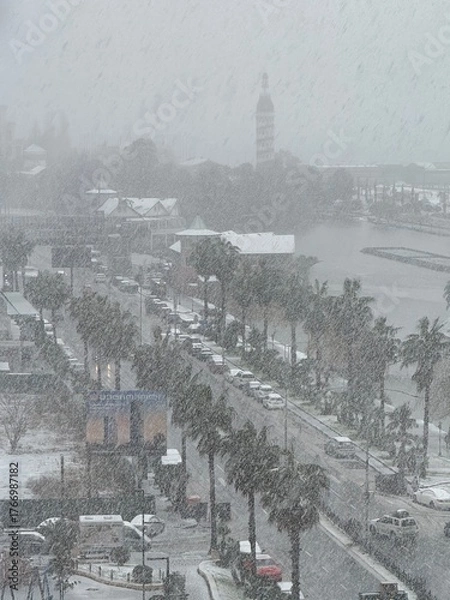 Fototapeta Coastal city street with cars, palm trees, and a tower during heavy snowfall. Used in travel, climate, and urban environment materials.