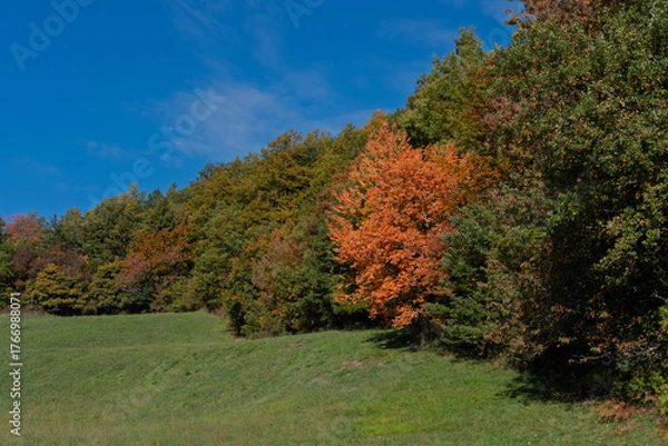 Fototapeta Autumn in the mountains