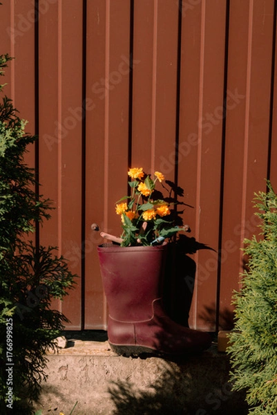 Obraz flowers in a pot