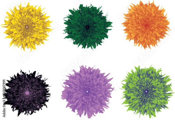 Obraz flower vector six varient pack