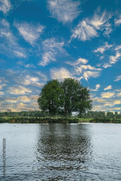 Fototapeta Typical landscape on a river in Holland with a huge tree in the background.