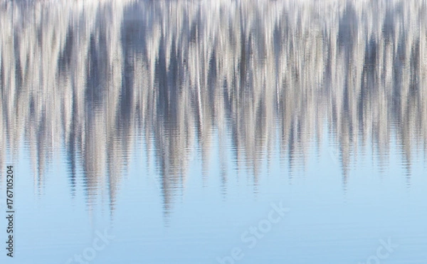 Fototapeta Snow Reflections