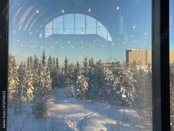 Fototapeta winter view in the city