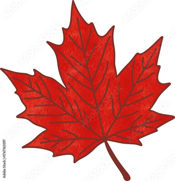 Obraz Autumn maple leaf illustration