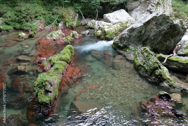 Fototapeta 小田深山渓谷　赤色チャート　(愛媛県　内子町）