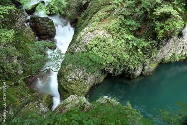 Fototapeta 安芸貞渕の景観　(愛媛県　内子町　小田深山渓谷）